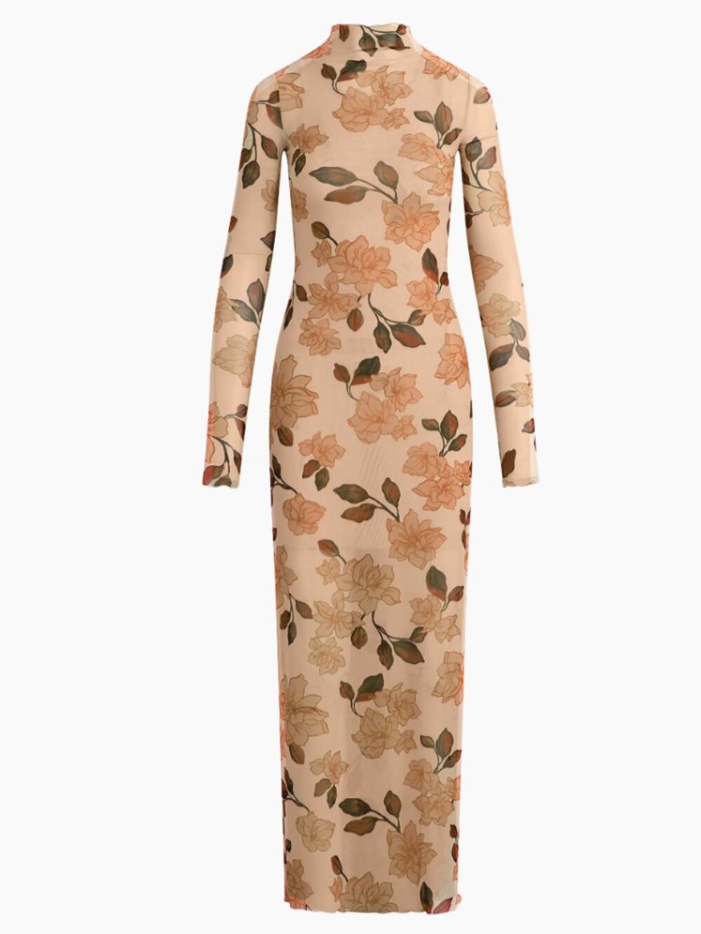 The Sheer Fantasy Maxi Dress - Picture 3 of 3